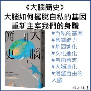 大腦簡史